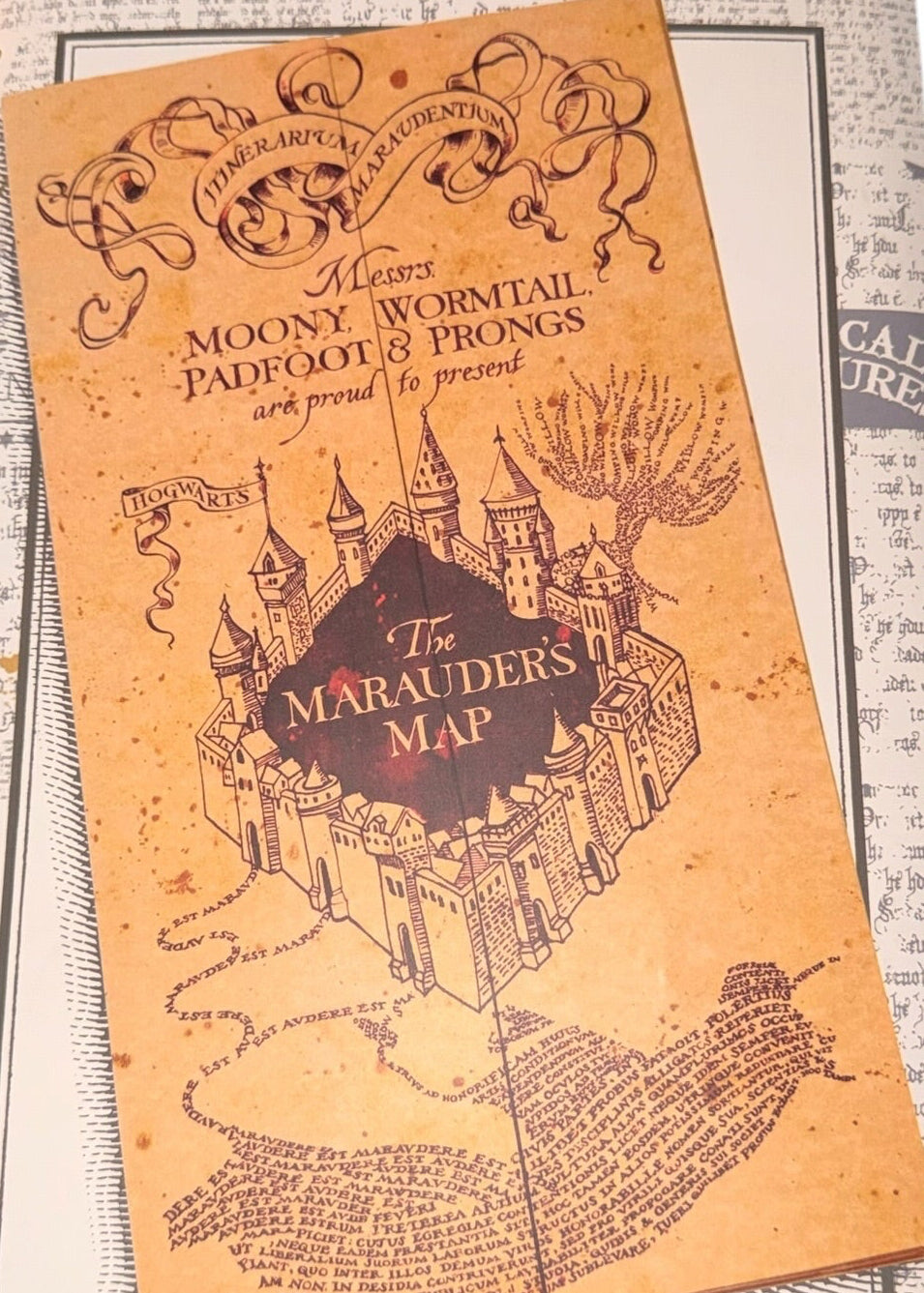 V 17 - Karte des Rumtreibers Harry Potter