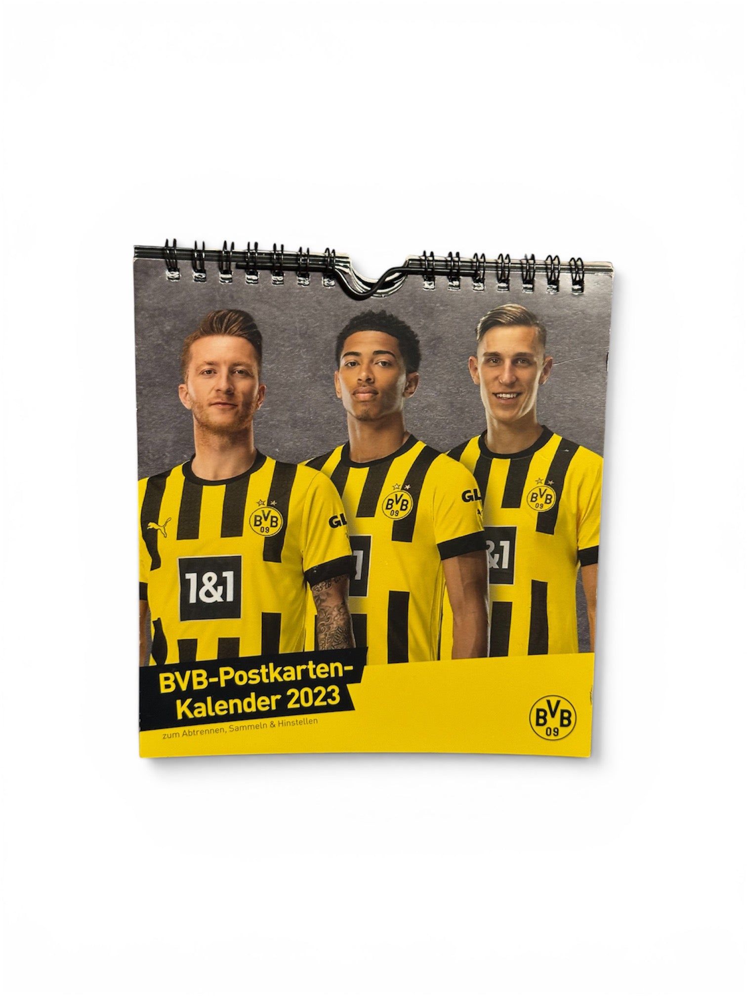 F 7 - Borussia Dortmund Kalender 2023